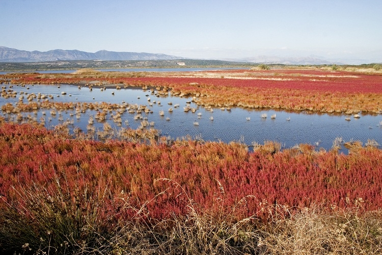 Ulcinjska Solana nominovana za treće Ramsar područje