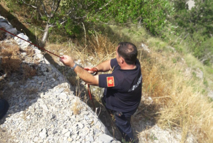 Kotoranin džipom sletio niz liticu, pa sam otišao u bolnicu