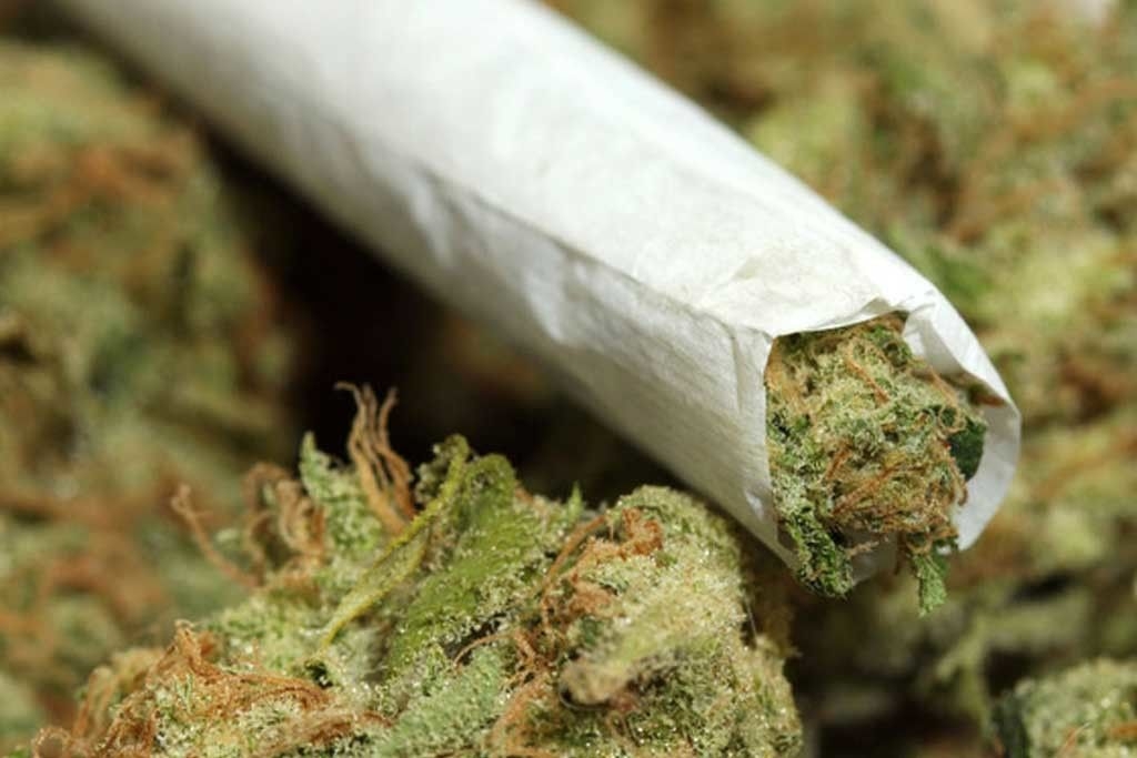 Presuda mladiću iz Rožaja: Godinu dana zbog 21 gram marihuane