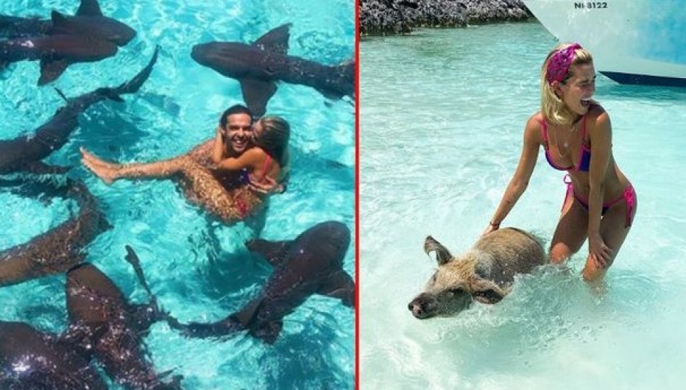 Legenda Milana pliva s ajkulama
