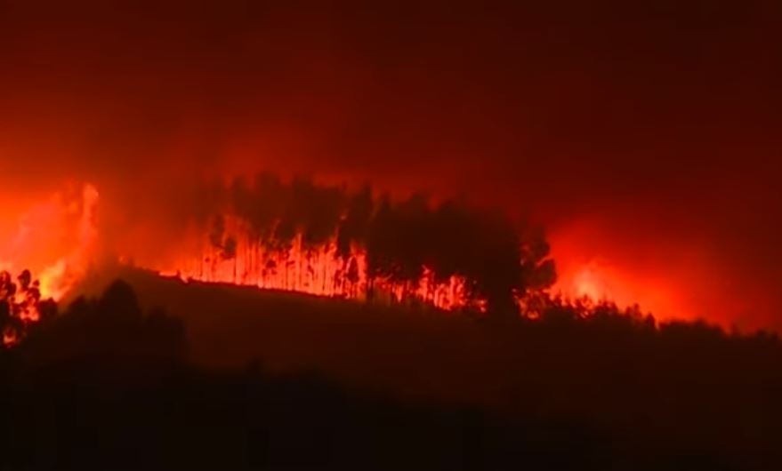 Stravičan požar u Portugalu: Stotine vatrogasaca na terenu, uhvaćen osumnjičeni za podmetanje požara