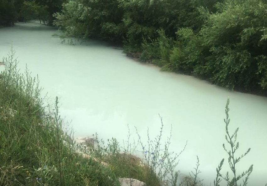 Poljoprivredna inspekcija će tražiti maksimalne kazne za pomor ribe