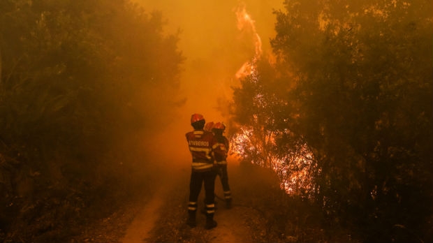 Portugal: Više od 1.000 vatrogasaca se bori protiv šumskih požara