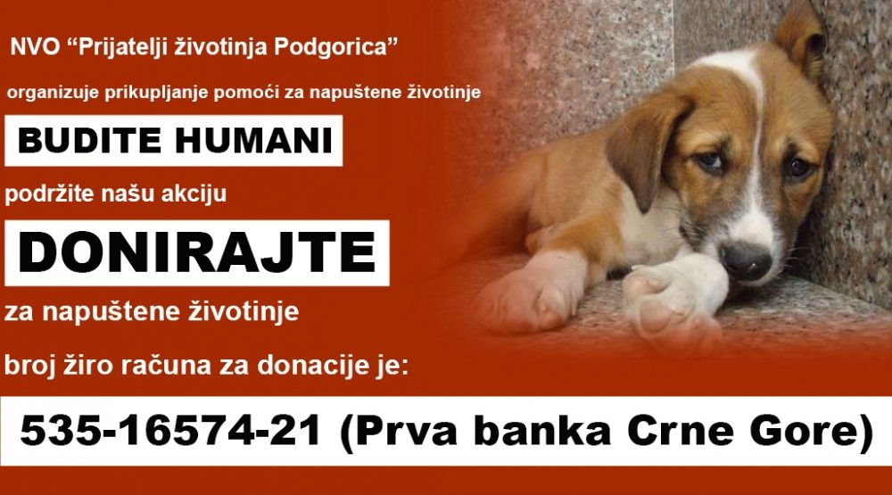 Prijatelji životinja Podgorica: Budite humani, donirajte za napuštene životinje