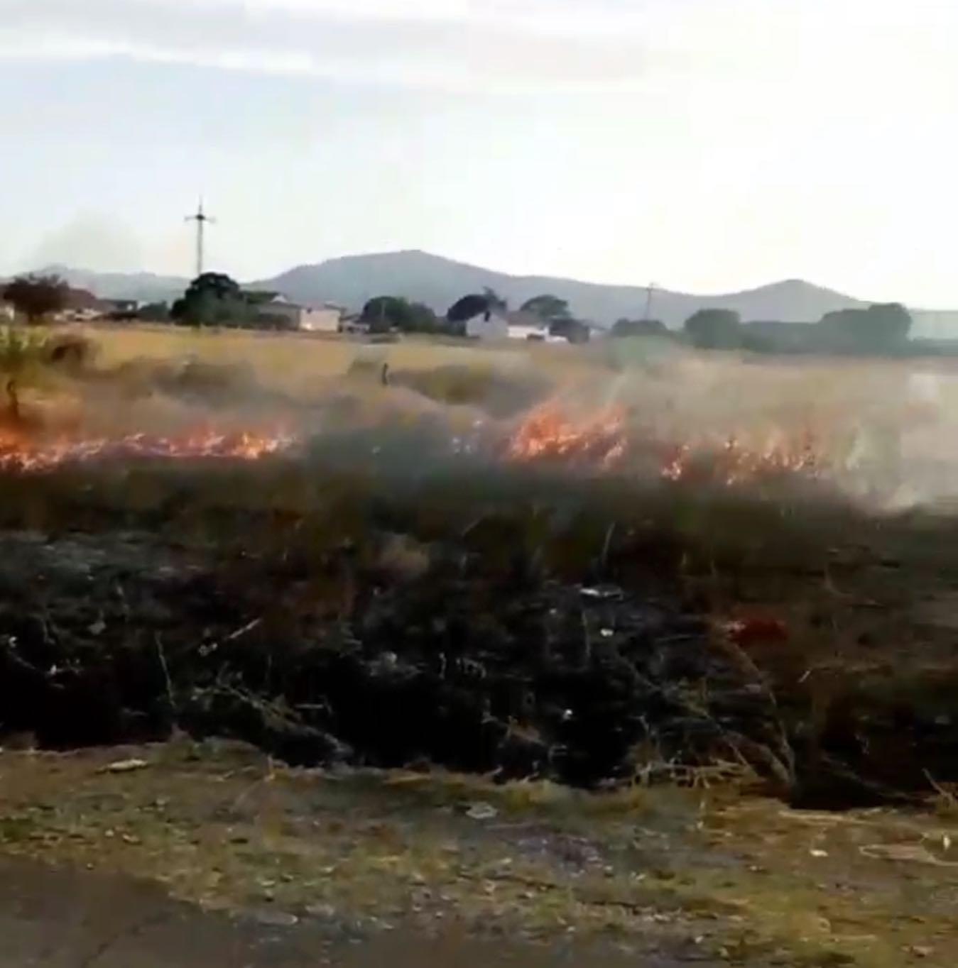 Podgorica: Vatrogasci imali pune ruke posla, za 24 sata čak 17 intervencija