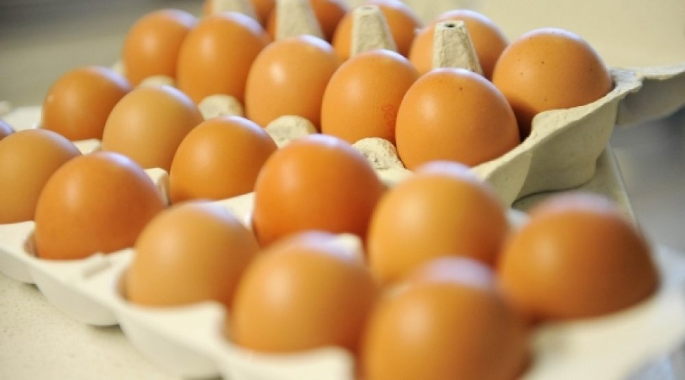 Uništeno 580 kilograma meda, vraćeno 11,5 tona jaja