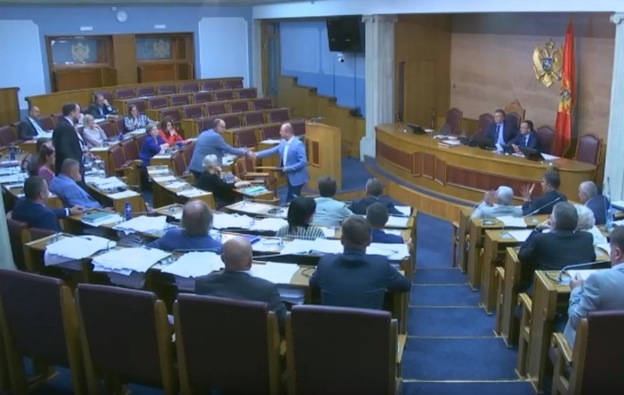 Koprivica i Šaranović izabrani u Odbor za izborno zakonodavstvo