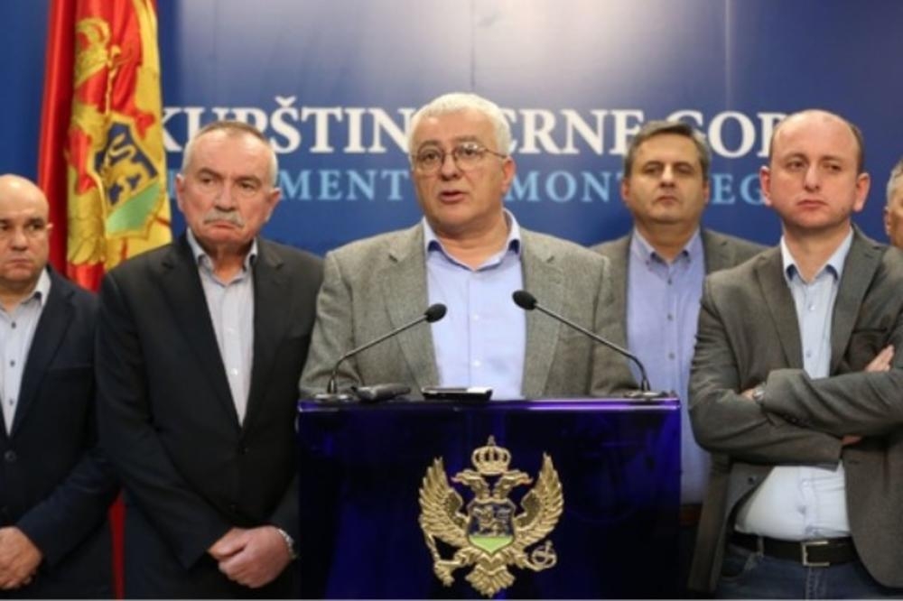 DF: Gej lobi u Crnoj Gori da djeluje javno