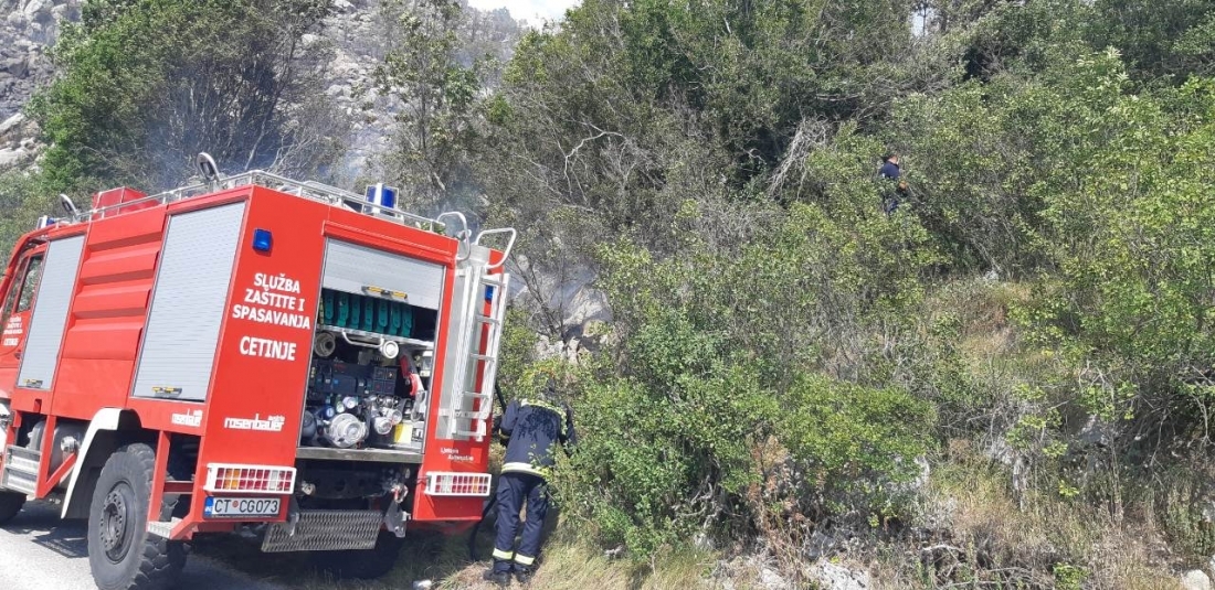 Požar u Lipi Cuckoj pod kontrolom