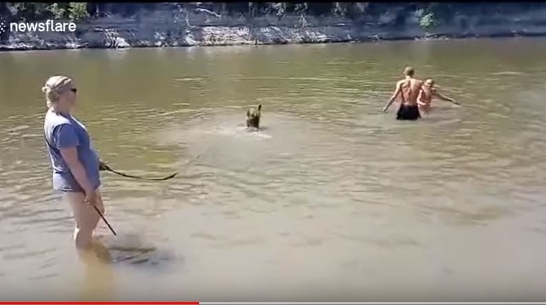 (VIDEO) Ovo je moguće samo u Rusiji: Medvjeda na povocu dovela na kupalište, niko se nije prepao