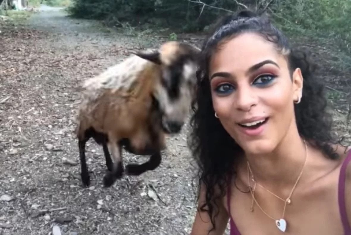 VIDEO: Htjela je da napravi selfie sa kozom, ali nije sve prošlo kako je zamislila