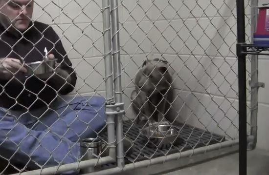 Bojala se ljudi, nije htjela da jede, a onda je veterinar učinio čudo: Postao joj roditelj bez kog ne može