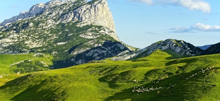 Crnogorske planine uzele pet života