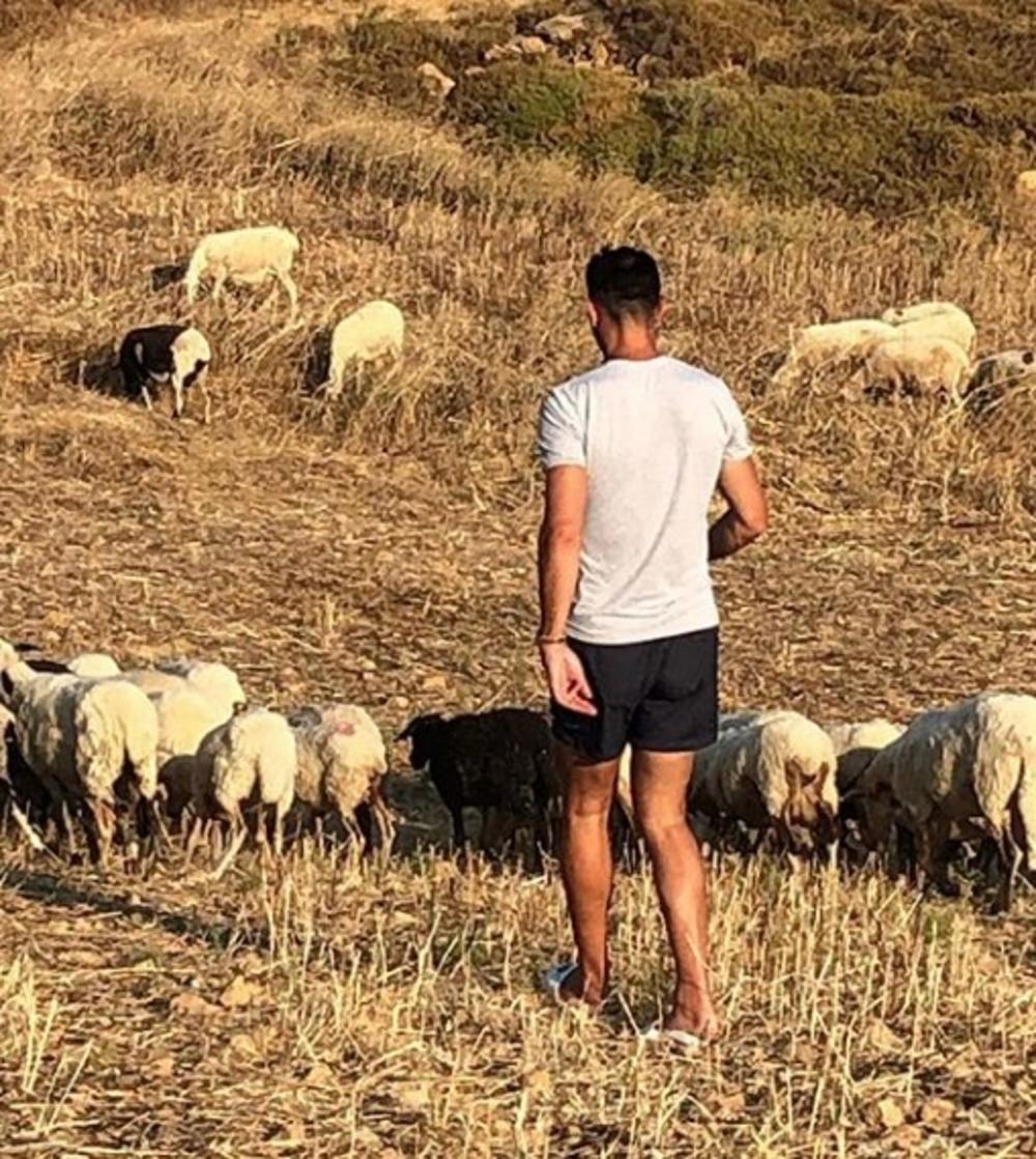 IMA MILIONE, A VOZI TRAKTOR: Košarkaš i jedan od najboljih trojkaša u istoriji NBA lige ČUVA OVCE