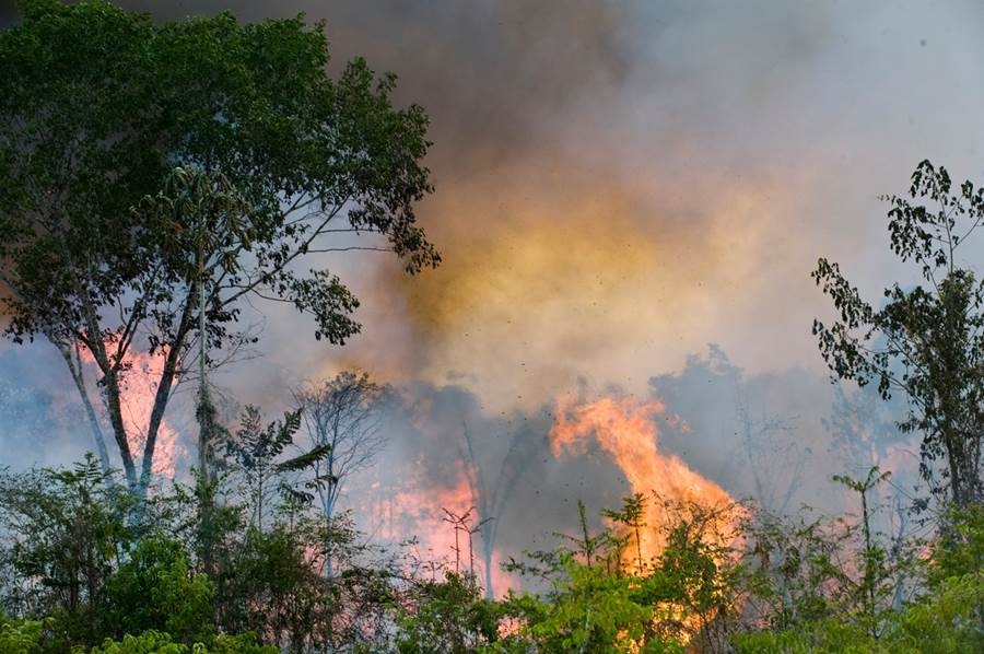Hiljade ljudi gasi požare u Amazoniji, na nogama i vojska