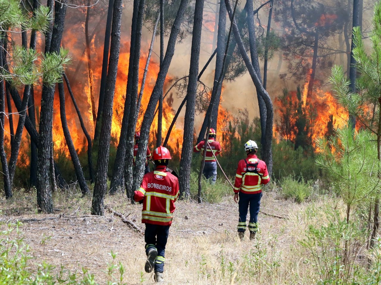 Požari u Portugalu: 500 vatrogasaca u borbi s vatrenom stihijom