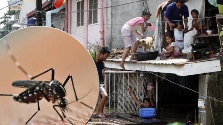 Na Filipinima umrle 622 osobe zbog denga groznice