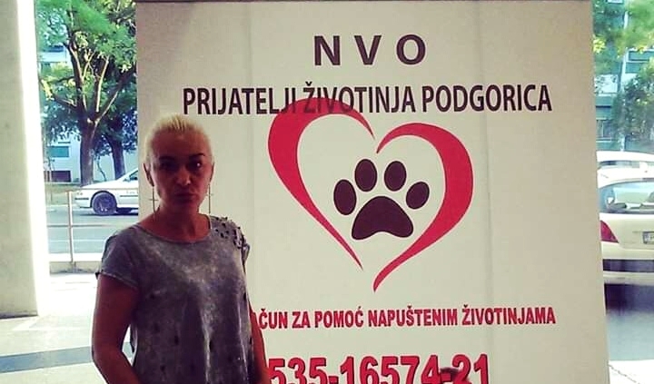 NVO Prijatelji životinja: Ubijeni psi na Zlatici potvrda da su borbe još aktuelne