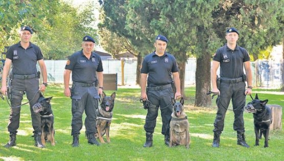 Posjeta Jedinici za podršku i logistiku : Policijski psi najbolje rade u timovima, pronalaze drogu, eksploziv, traže plijen, ali i štite vodiče