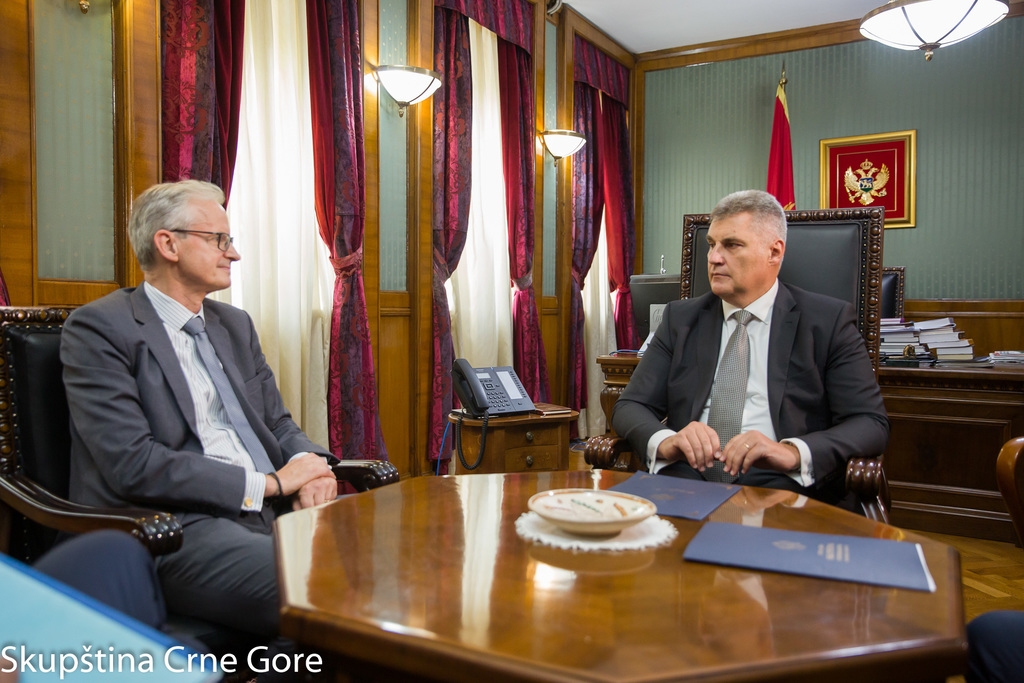 Brajović – Danijelson: Novi saziv Evropske komisije daje jasnu podršku politici proširenja
