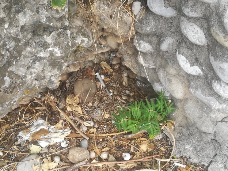 Koriste heroin i kokain a špriceve bacaju na sve strane: “Strah me da pustim djecu da se sama igraju od tolikih igli”