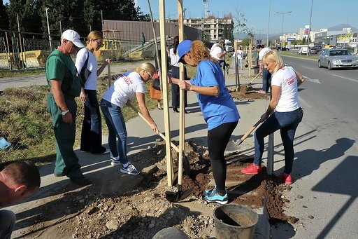 CEDIS donirao 45 sadnica putem aplikacije “Moje drvo”