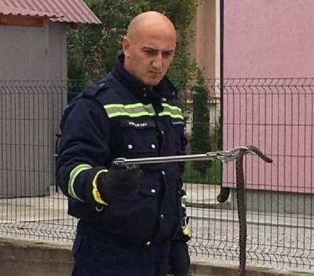 Pljevlja: Vatrogasci iz automobila uklonili šarku