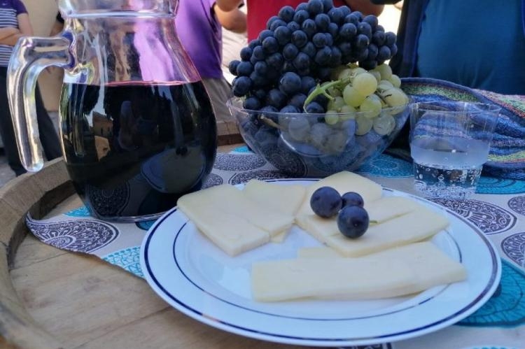 Na vinogradu Biotehničkog fakulteta ubrali 104 tone grožđa
