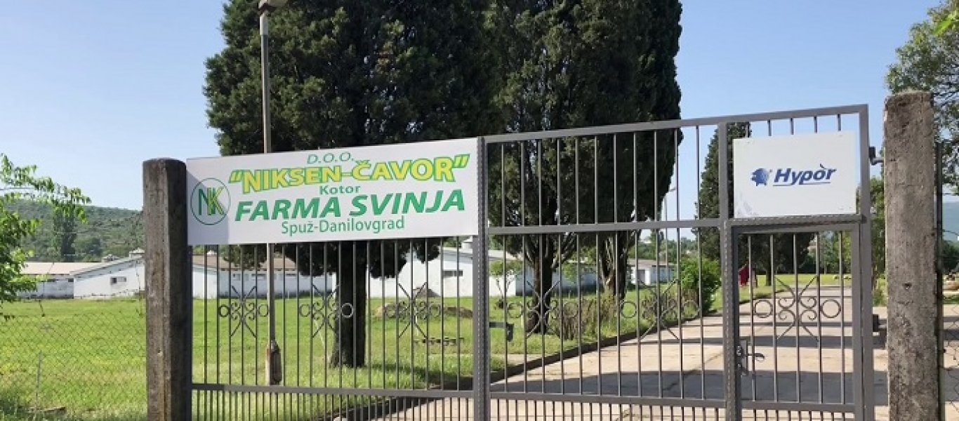 Podnijeta krivična prijava protiv Niksen Čavora