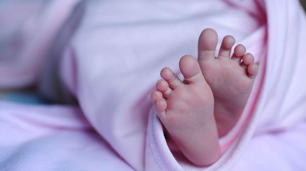 Pljevlja i Cetinje najviše daruju bebe