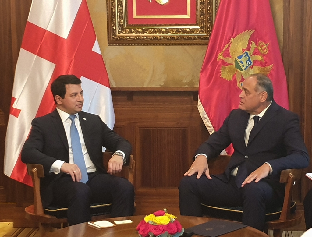 Crna Gora primjer Gruziji kako se ostvaruju strateški ciljevi, kao što je ulazak u NATO
