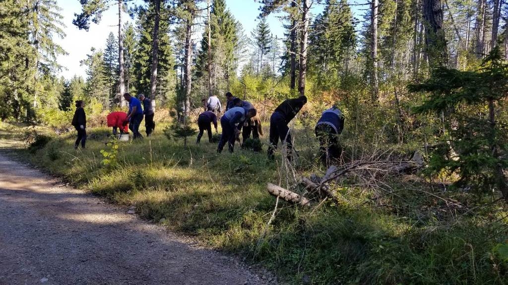 Pošumljavanje i suzbijanje bespravnih aktivnosti prioriteti