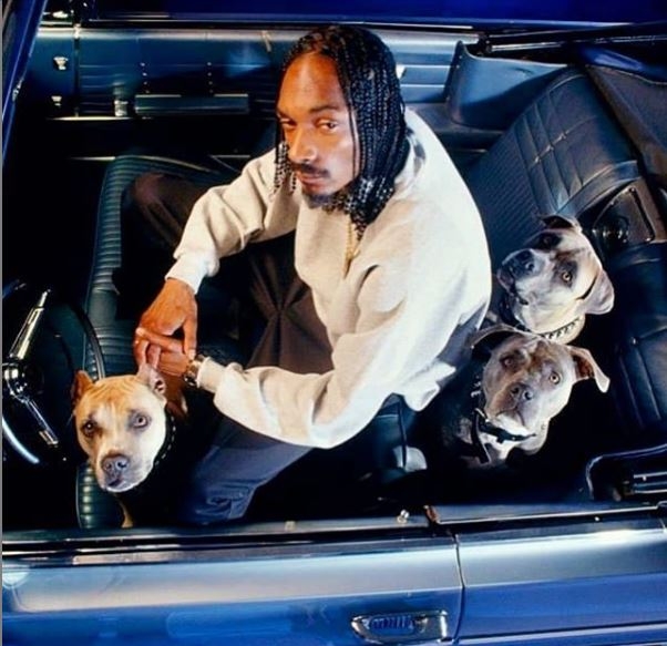 Snoop Dogg u sevdahu “odvrnuo” Šabana Šaulića: “Javi se, ljubavi!” (VIDEO)