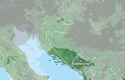 U toku akcija spašavanja u reonu Dobrilovine: Povrijeđen lovac