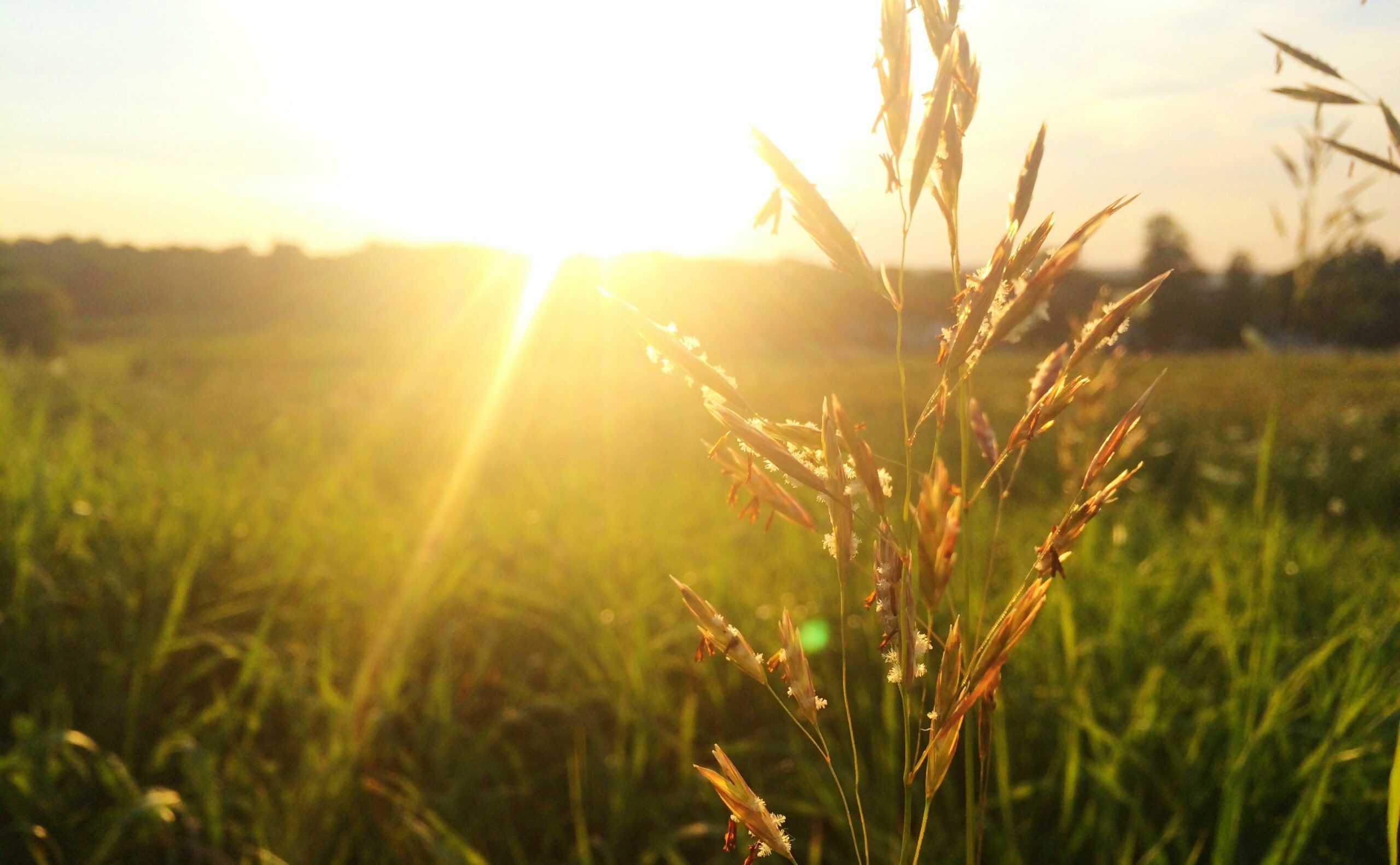 Sjutra sjunčano i još toplije