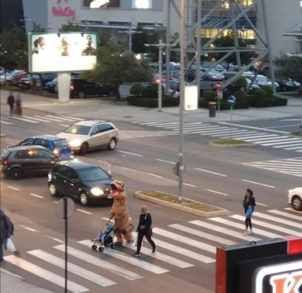 Jeste li primijetili ”dinosaurusa” koji je šetao Podgoricom? Evo o kome se radi