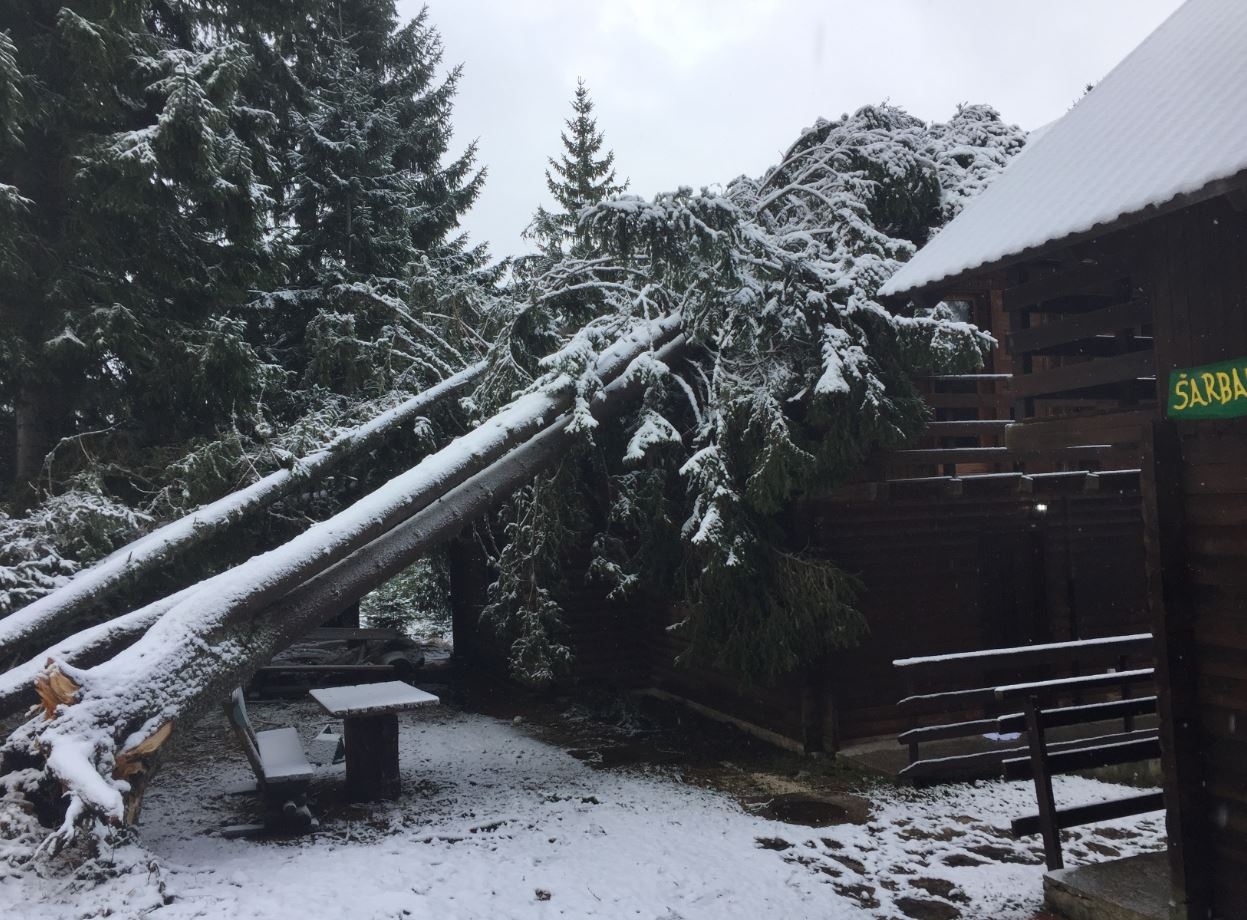 Pogledajte fotografije: Olujno nevrijeme pričinilo štetu na Žabljaku