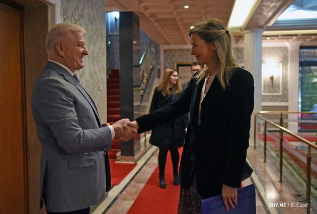 Marković razgovarao sa predstavnicima Evropskog pokreta i Akcije za ljudska prava