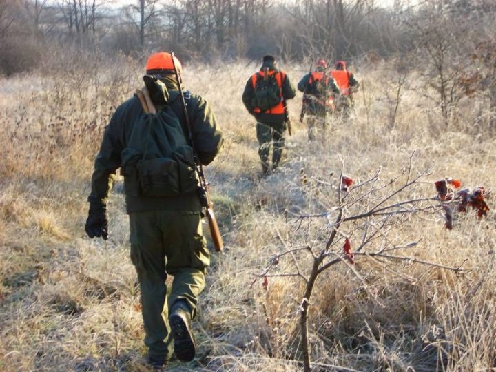 Lovac pao s litice u Kučima, teren nepristupačan, u toku izvlačenje