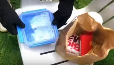 Zakopao hamburger sa šejkom i pomfritom u vrt i to pojeo nakon 14 mjeseci