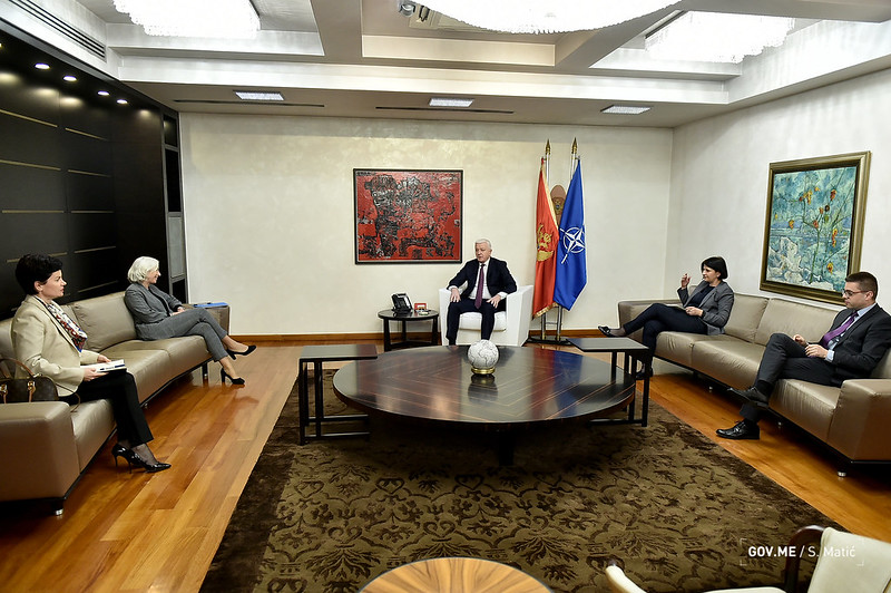 Marković-Mekluni: Crna Gora pokazala sposobnost upravljanja rizikom epidemije koronavirusa