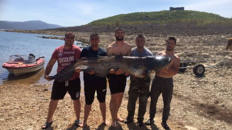 Ulovio soma od 85 kilograma