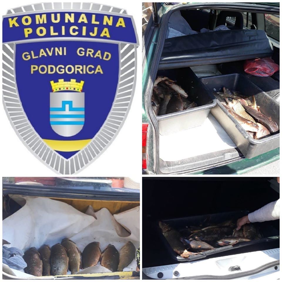 Komunalna policija ispred Gintaša oduzela 56 kilograma ribe