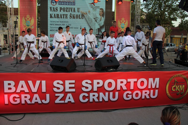 CKM: Vlada da pomogne sportskim klubovima