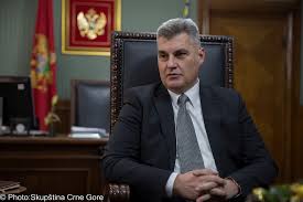 Brajović: Izbori će biti održani u razumnom zakonskom roku