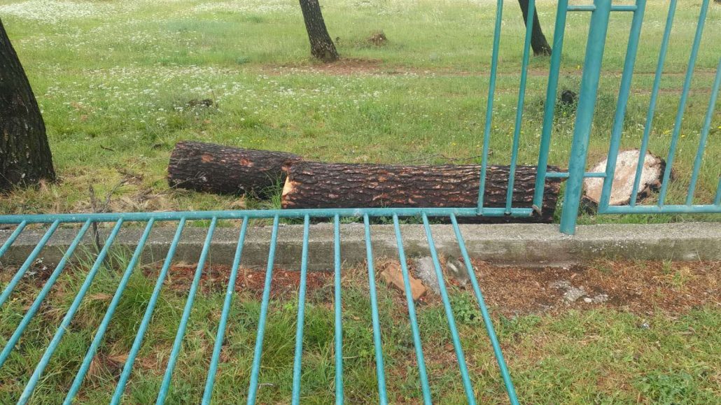 Vandalizma na Zlatici, uništen dio ograde oko Park šume