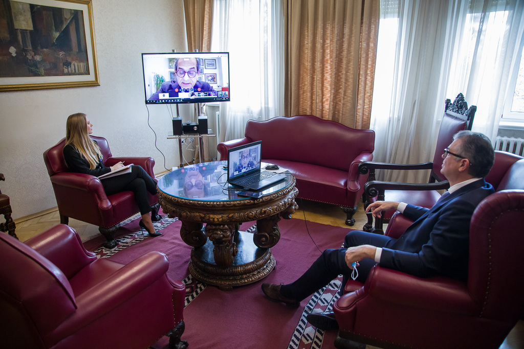 Gvozdenović učestvovao na web seminaru PS OEBS