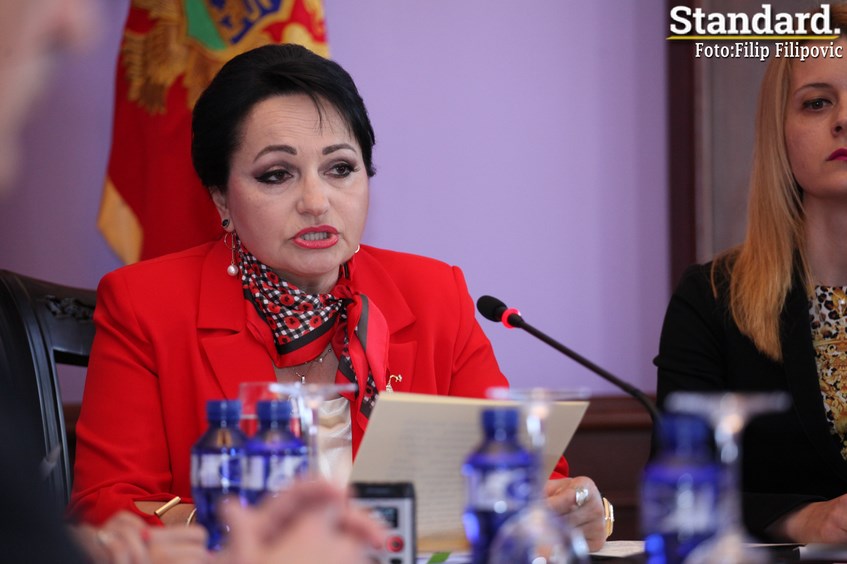Medenica: Rezultati crnogorskog sudstva doprinijeli napretku države