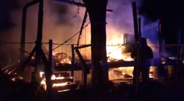 JPNP: Osuđujemo kukavički čin paljenja ribočuvarske kućice na Skadarskom jezeru
