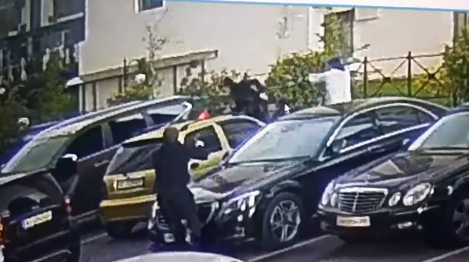 Napadači danima pratili Zvicera